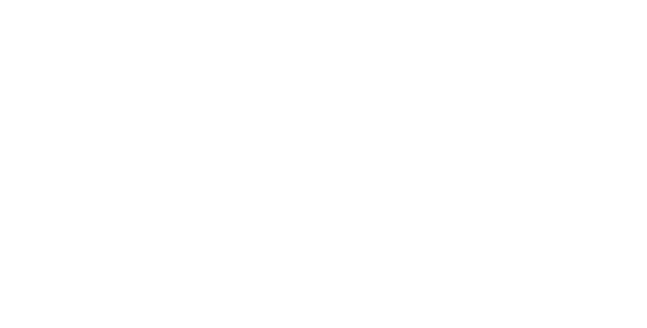 Aluy